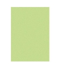 Papír xerografický MAESTRO COLOR A4 80g pastel GN27 Green