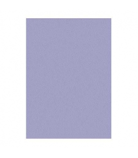 Papír xerografický MAESTRO COLOR A4 80g  Lavender