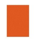 Papír xerografický MAESTRO COLOR A4 160g Orange