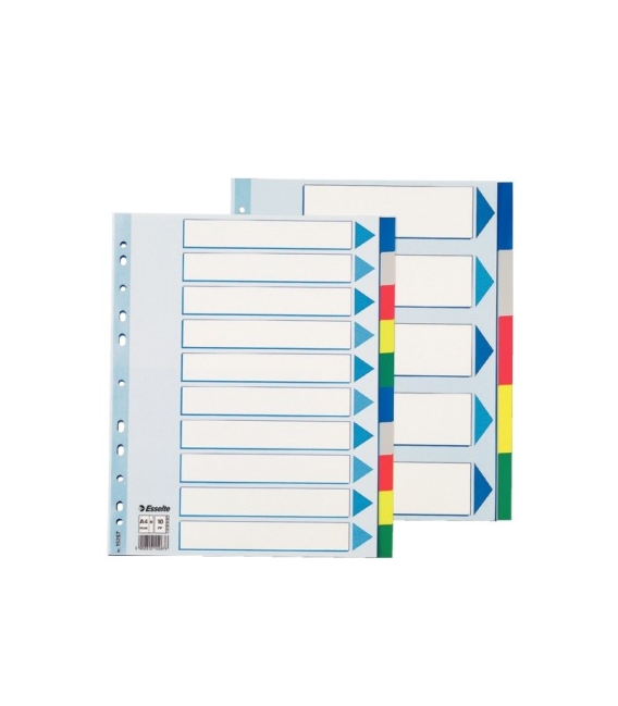 Rozlišovač plastový A4 10 barev maxi