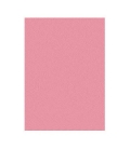 Papír xerografický MAESTRO COLOR A4 80g pastel PI25 Pink