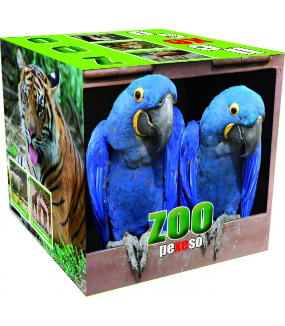 Pexeso v boxu ZOO