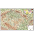 Podložka na stůl 60x40cm Česká republika