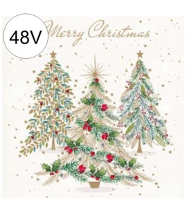 Ubrousky AHA 33x33/20ks  3vrstvé vánoční  94V