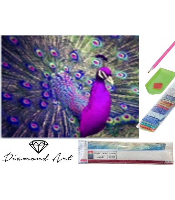 Malování s korálky 30x40cm Páv