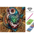 Malování s korálky 30x30cm Sova