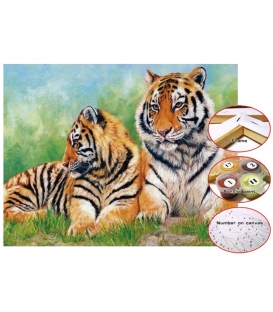 Malování s čísly plátno 30x40cm Tygři