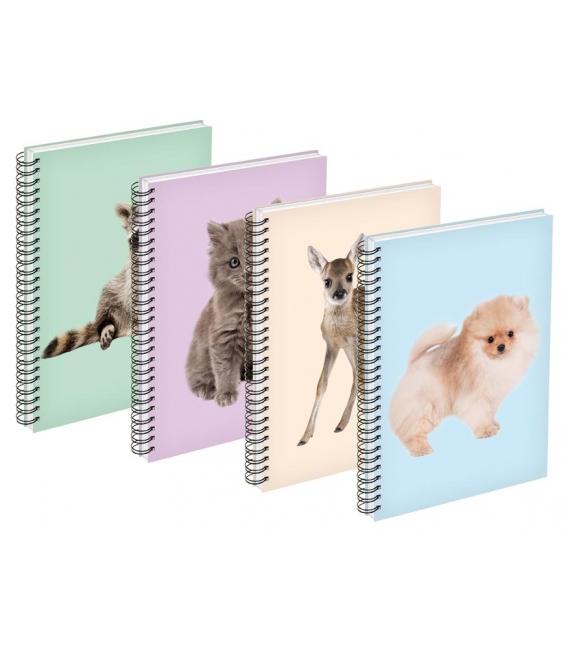 Blok se spirálou A6 linka, 80 listů, mix motivů