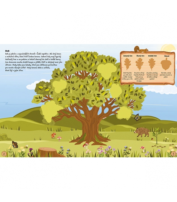 Knížka samolepková Naše stromy