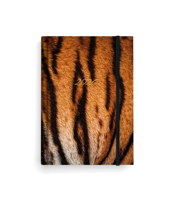 Záznamník týdenní Prokop lamino B6 Tygr 2026