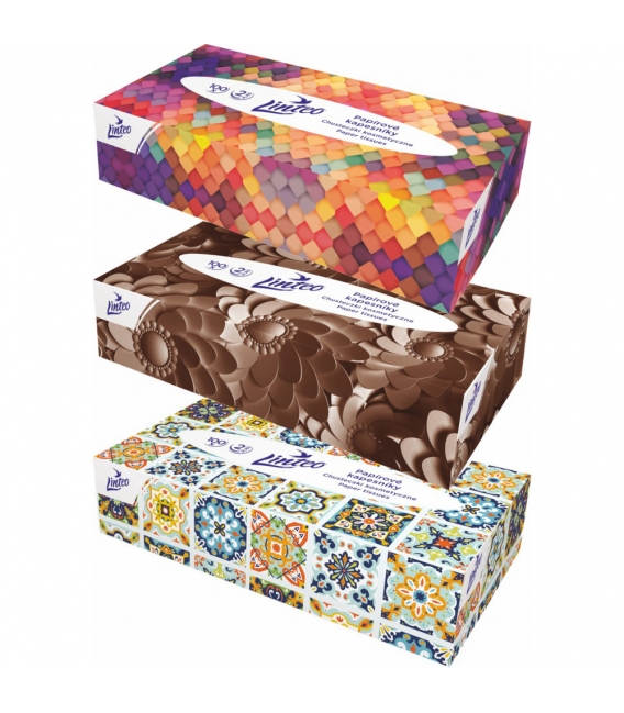 Kapesníky kosmetické /100ks LINTEO