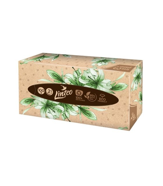 Kapesníky kosmetické /100ks LINTEO