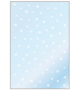 Sáček celofánový metalický 16x25cm