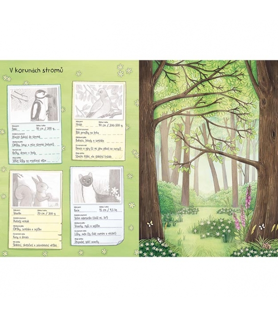 Knížka samolepková Svět zvířat v samolepkách Zvířata v lese a na louce