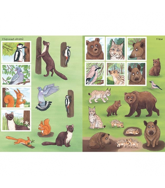 Knížka samolepková Svět zvířat v samolepkách Zvířata v lese a na louce