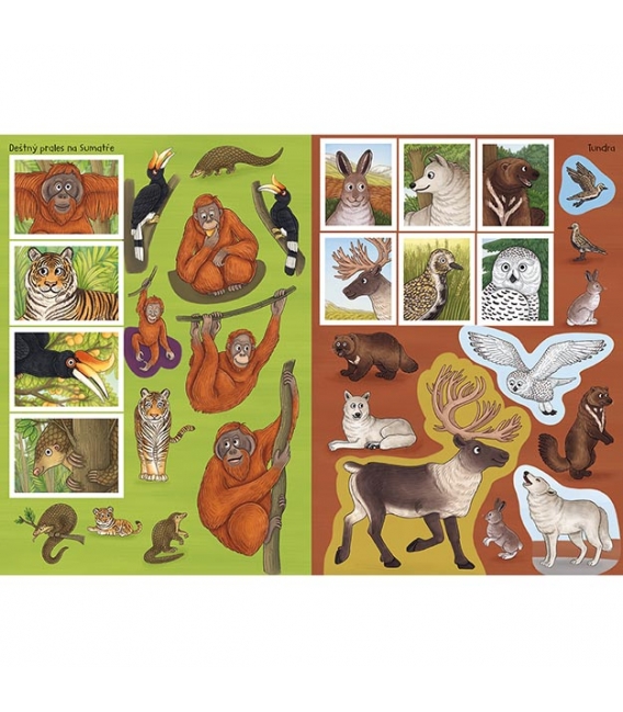 Knížka samolepková Svět zvířat v samolepkách Divoká zvířata