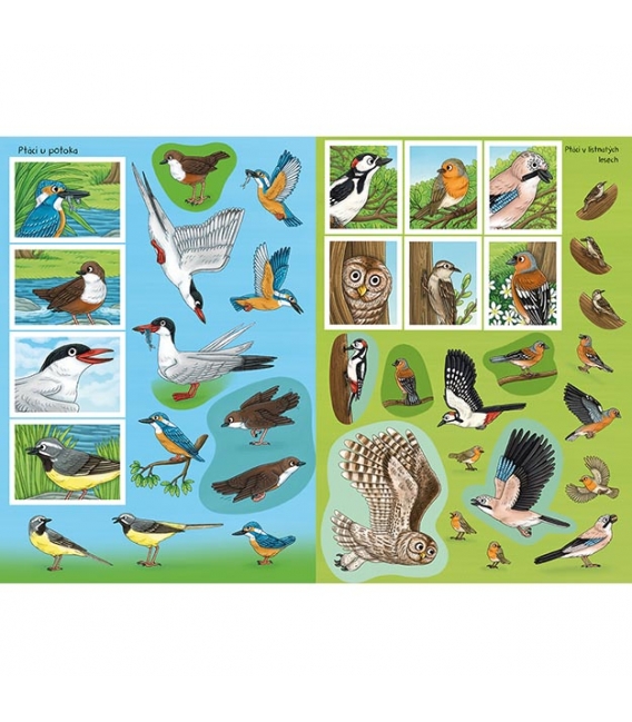 Knížka samolepková Svět zvířat v samolepkách Naši ptáci