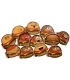 Blok spirála Burger /PK59-4/