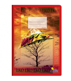 Sešit NOTES 444 EKO linka