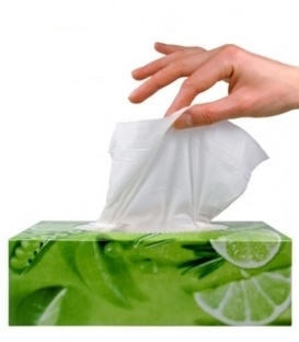 Umělecké školy – kresba